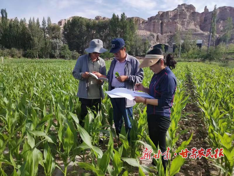 白晓艳：“小身板”折射出科技惠民“大背影”