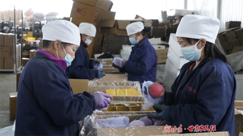 静宁：不负春光 全力以“复”