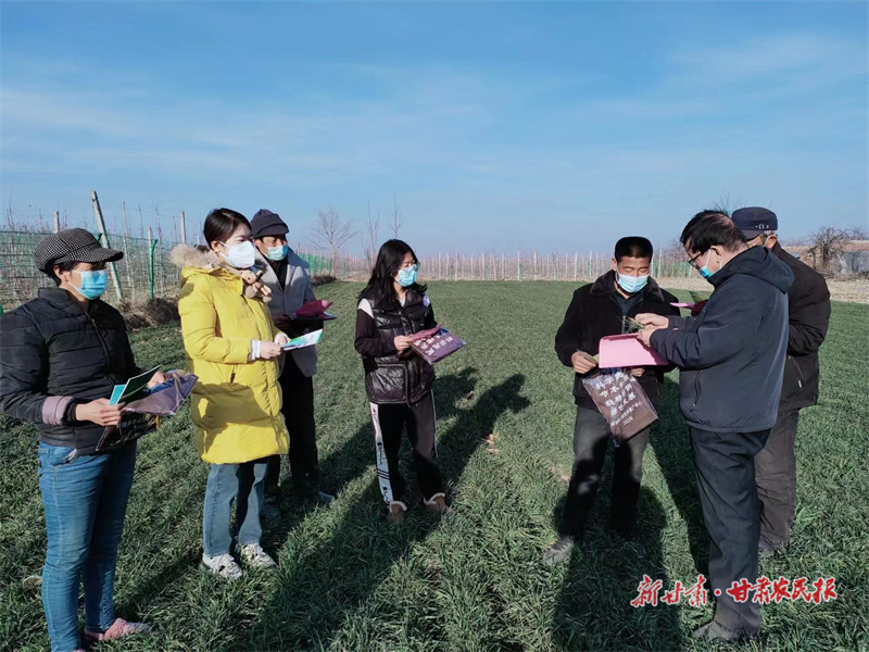 崇信：“农”墨重彩在沃野