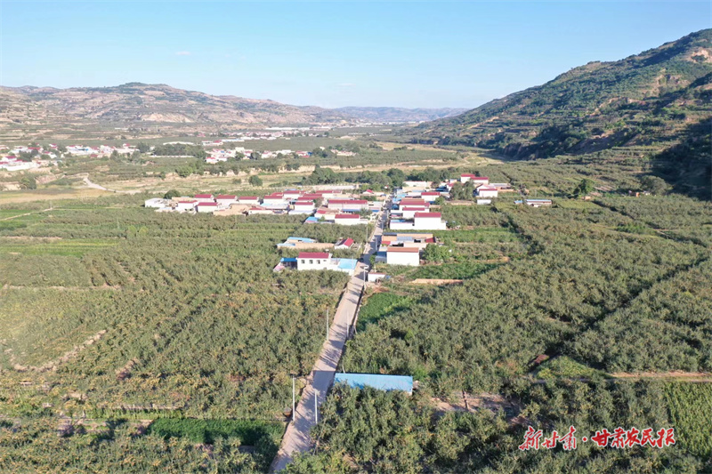 静宁：立足“三抓三促” 保春耕促生产