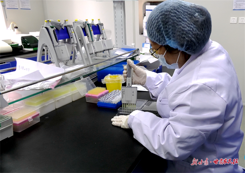 麦积区畜牧中心：以“三抓三促”行动助推畜牧业发展再上新台阶