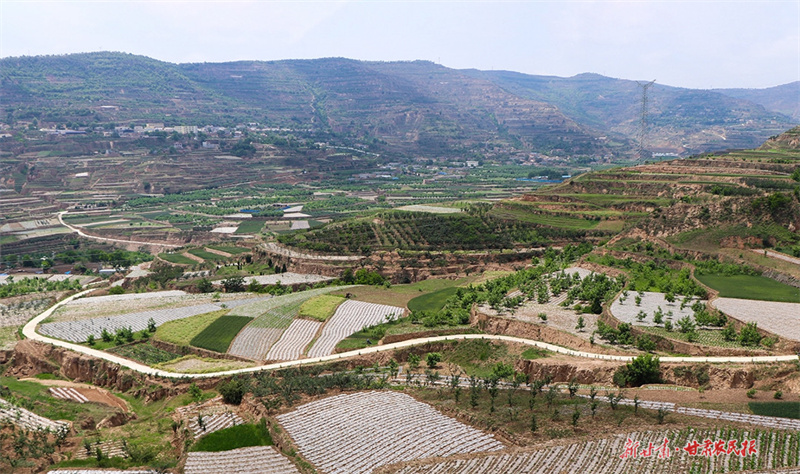 甘谷：治水保土 绘就乡村振兴新画卷