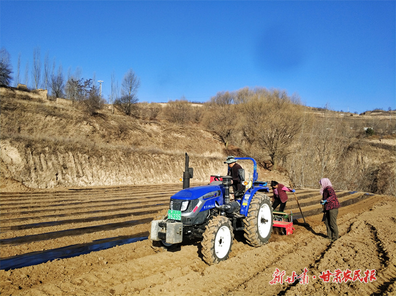 静宁：田间地头春潮涌 顶凌覆膜正当时