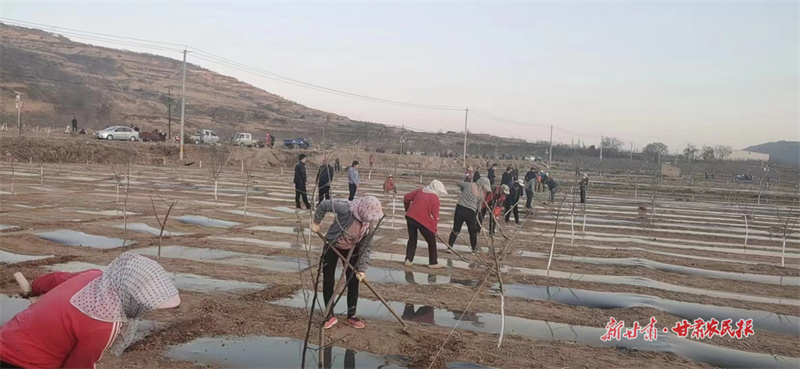 静宁：念好“四”字诀 开启春耕“加速度”