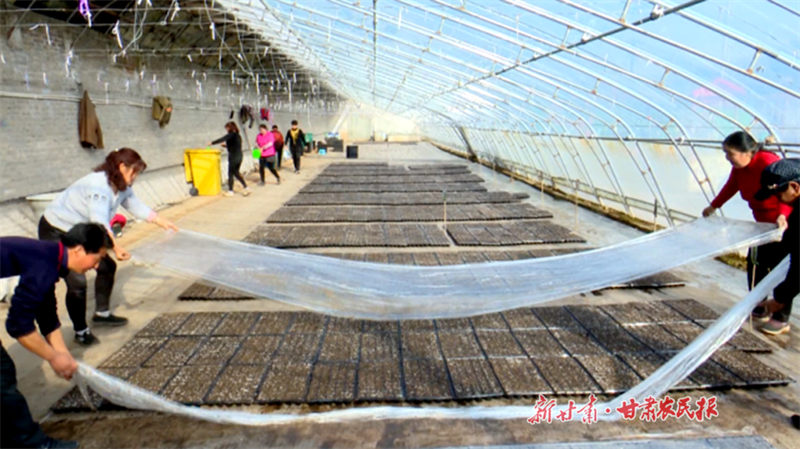 华亭 科技育出“富民苗”