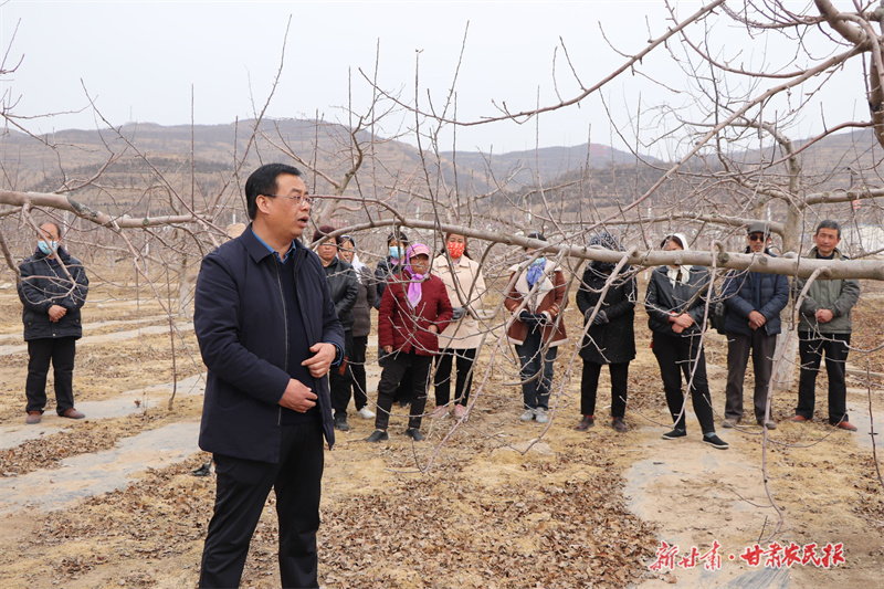 静宁：砥砺奋进启新程 “链”出产业致富路