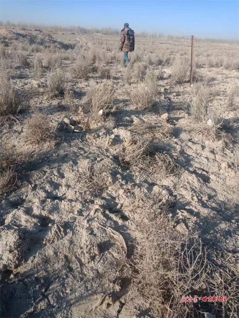 瓜州县：落实草原奖补政策 实现草原生态和民生双赢