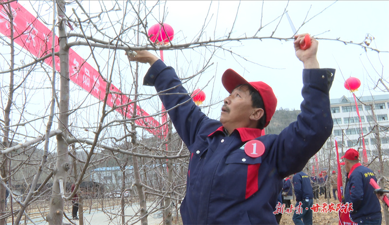 静宁：以赛促技赛出“静宁果农”务果水平