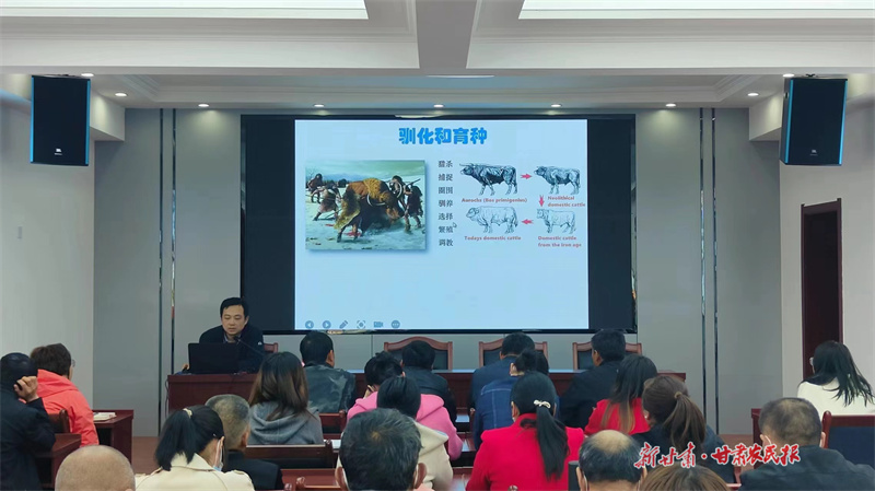 平凉红牛大讲堂”为静宁牛产业发展蓄势赋能