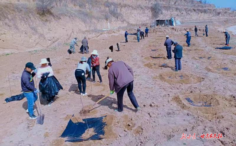 麦积区：不负农时绘好“春耕图”