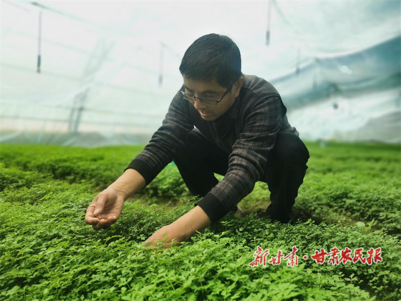 郭增祥和“岷归”的故事
