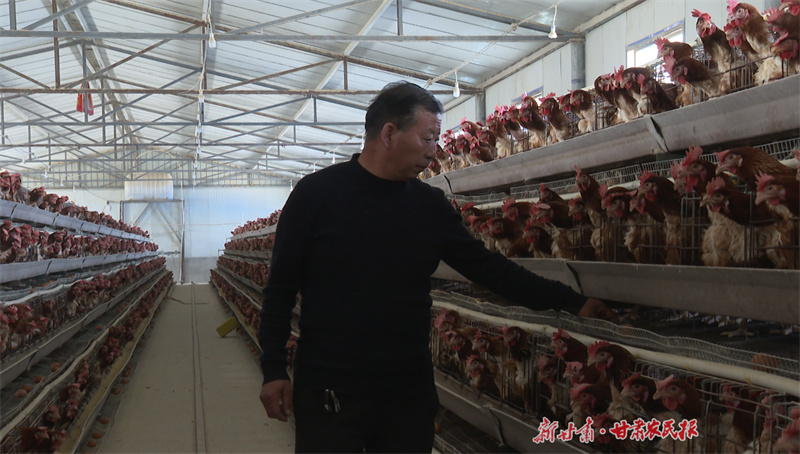 ​静宁：不负时光起好步 凝心聚力开新局