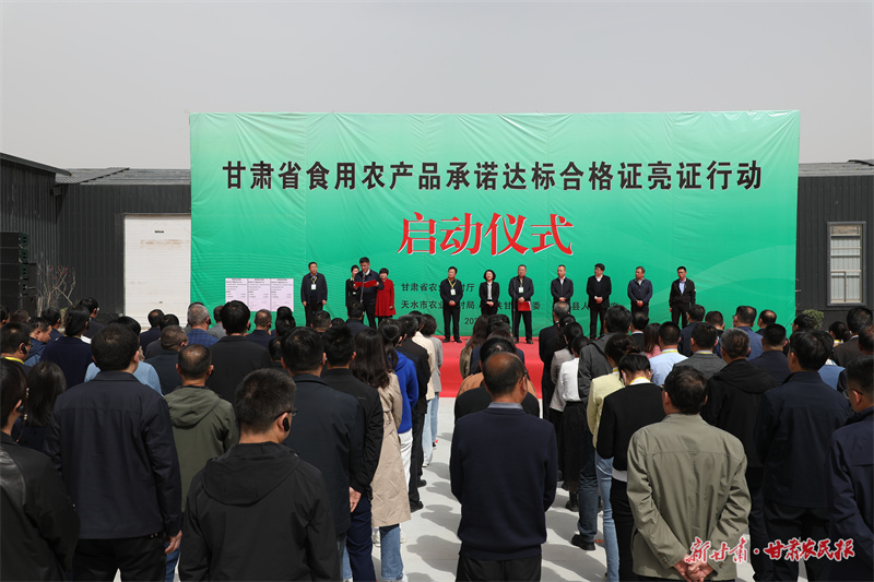 绿色标准化种植让甘谷辣椒创魅力“甘味”