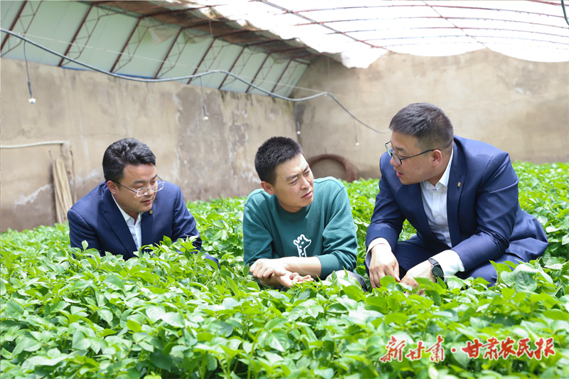 金融“活水”助春耕——甘肃农担保障全省春耕融资担保实现一季度开门红