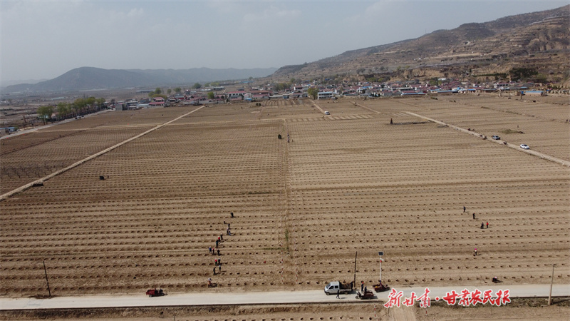 静宁：奏响项目建设“春之乐章”