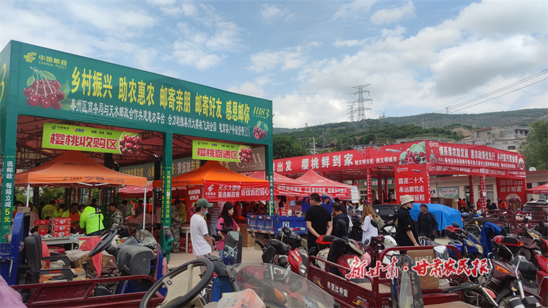 “绿邮政”催熟“红樱桃”——甘肃邮政着力打造天水“中梁模式”探析