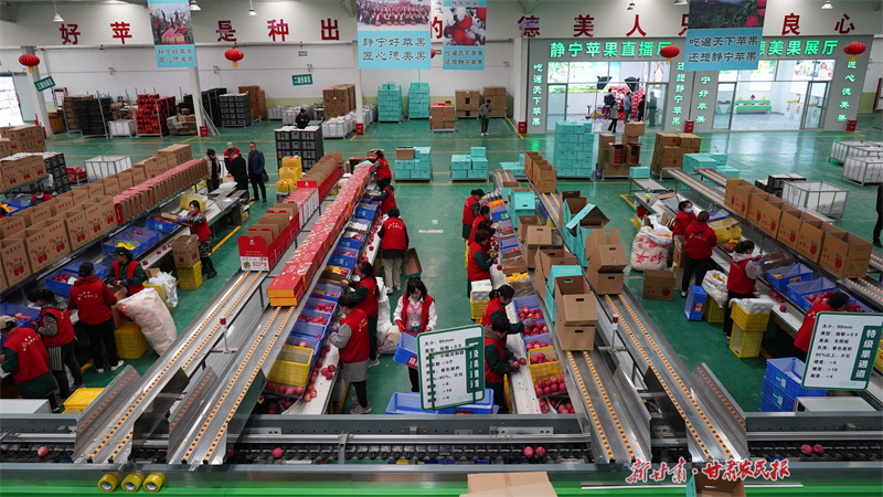 静宁：田积林，致力种出致富“金果果”