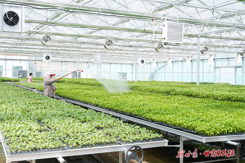 静宁：蔬菜产业从“汗水农业”到“智慧农业”