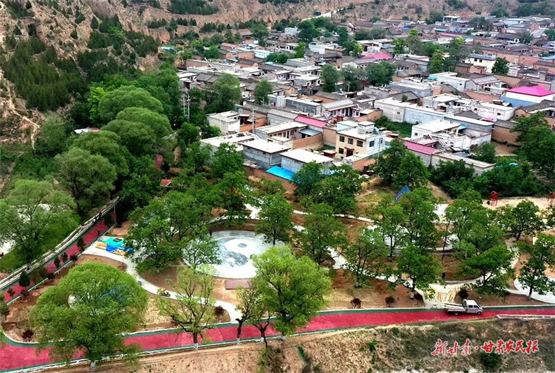 麦积区渭南镇：打造“柿柿如意园” 乡村旅游赋能拓宽乡村振兴路