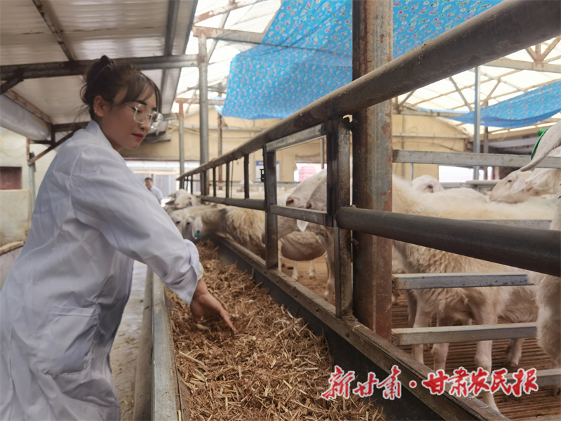 为农业发展点亮“一盏灯”