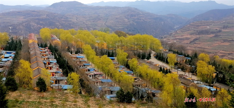 麦积区伯阳镇：人居环境展新颜 乡村振兴亮底色