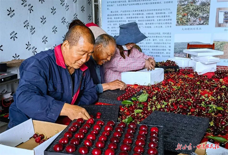 麦积区：又是一年好“丰”景  果蔬飘香产业兴