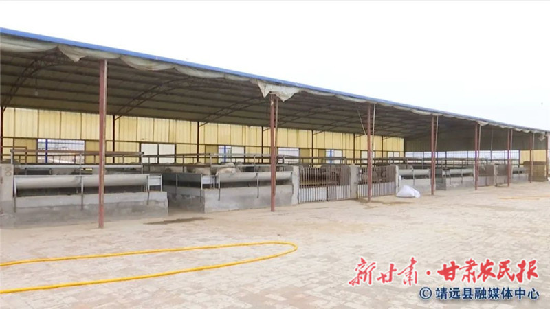 靖远红嘴村：“高床”养羊“钱”景佳