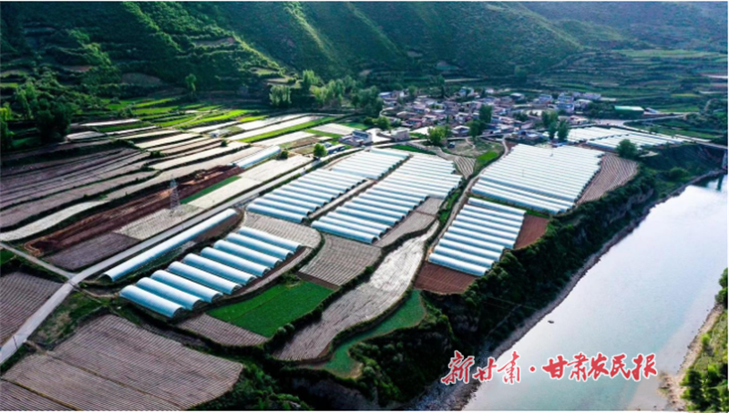 康乐县：蔬菜大棚种出好“丰”景
