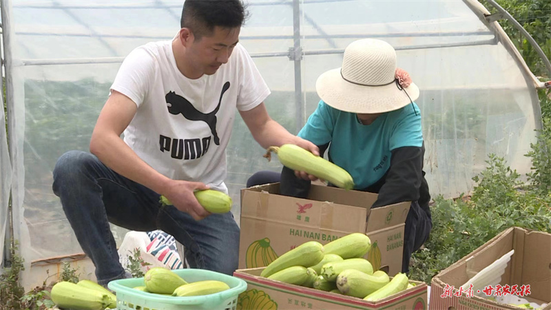 甘谷张龙杰：把&ldquo;军魂&rdquo;书写在田间地头