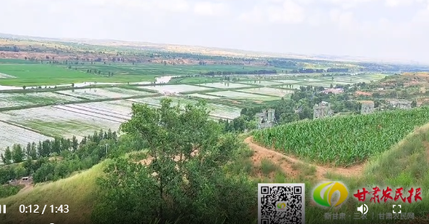 【短视频】看黄土高坡里的“稻”和“渔”~