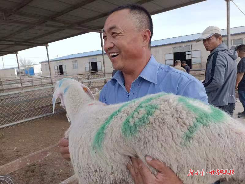 瓜州：牛羊产业让乡村振兴更有“牛劲”