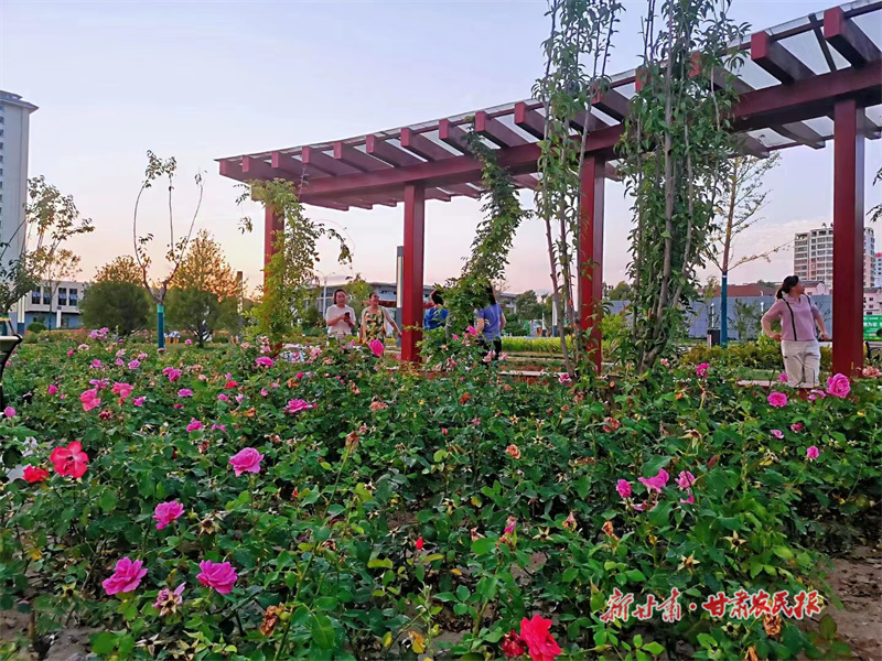 静宁：擦亮幸福底色 解锁“文明密码”