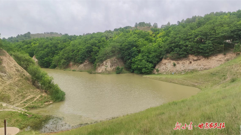 静宁：治水保土“绿满园”生态经济“双提升”