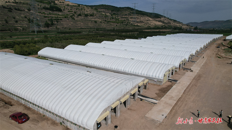 静宁：牵住“牛鼻子”  做强牛产业   过上“牛”日子