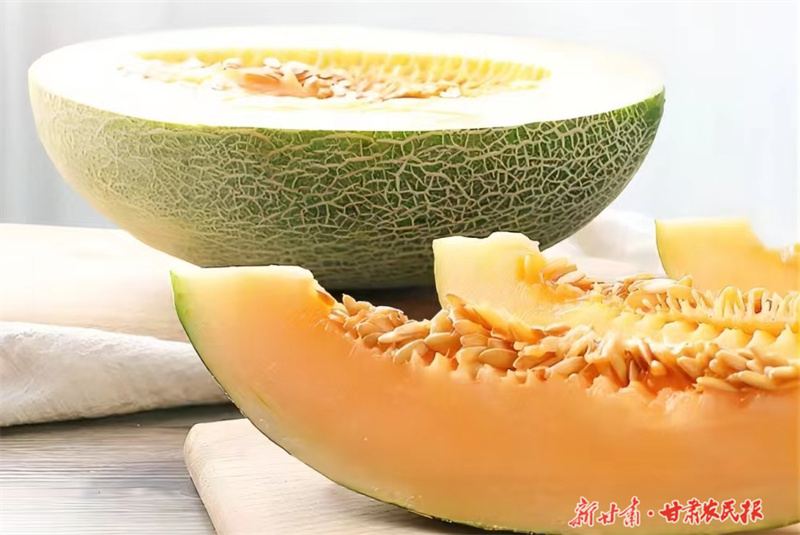 一个瓜“链”出亿元产业的“蜜”诀 ——玉门市花海镇蜜瓜产业发展综述