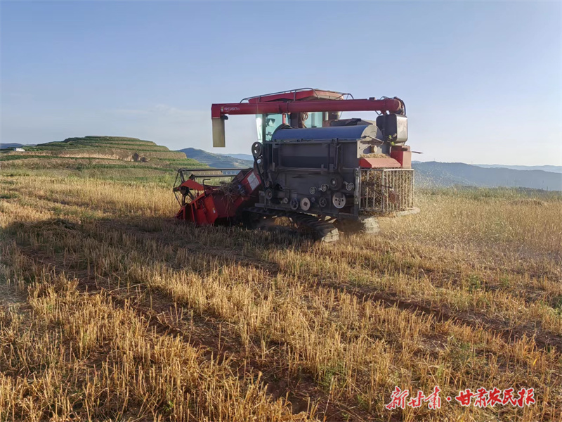 静宁县深沟乡：撂荒地变“丰收田” 农民增收笑开颜