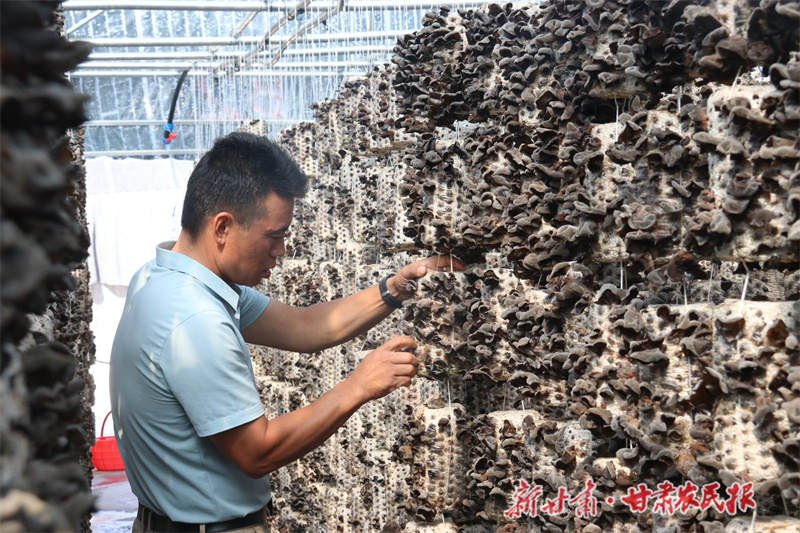 西峰区:奏响产业发展“致富曲”
