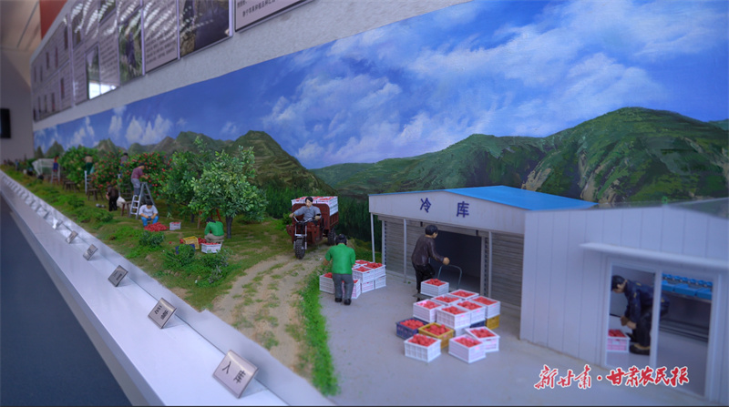 围观！首个静宁苹果文化馆开馆