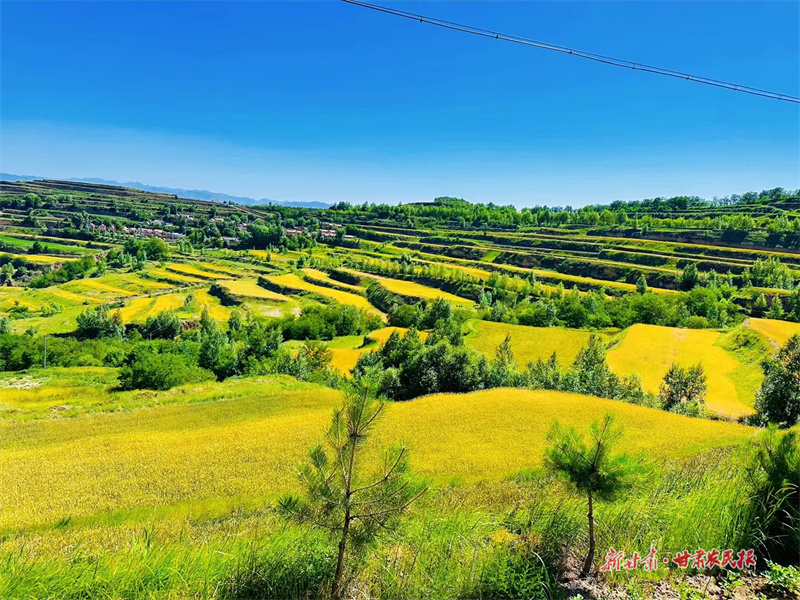 庄浪：全力绘就乡村美、产业兴、邻里和的幸福新图景