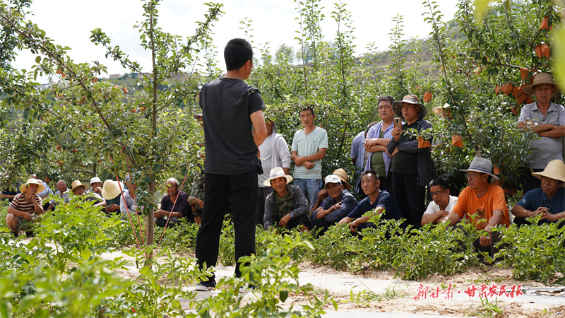 静宁：果园夏管，技术培训掀高潮