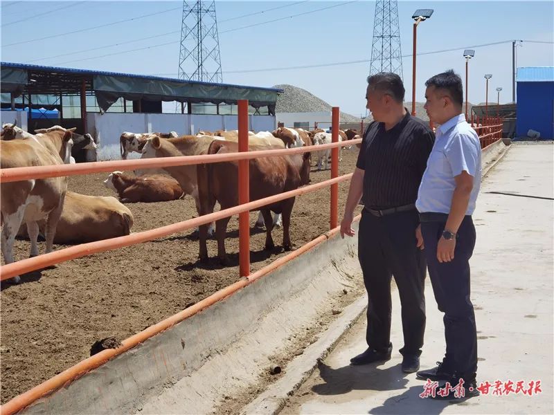 银担合作，“贷”动一方产业发展