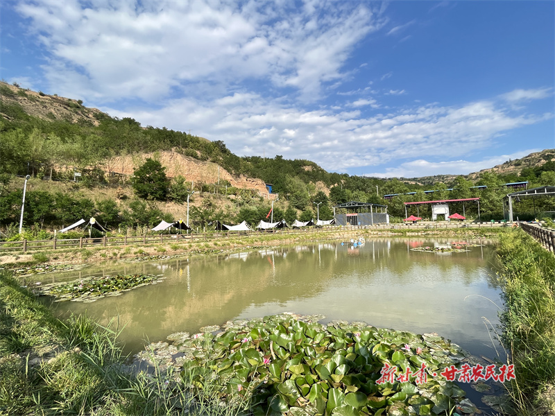 庄浪：绘就美丽乡村“新画卷”