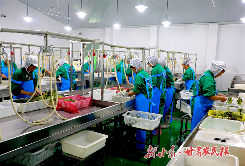 开辟增收新渠道