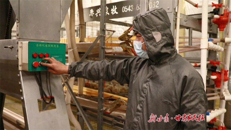 瓜州：“智能鸡场”铺富路