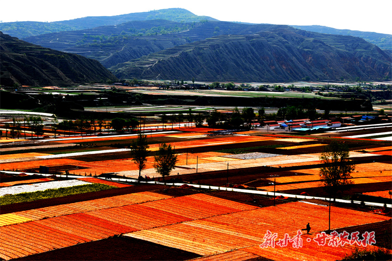 种子种苗繁育基地