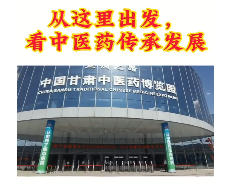 【视频】从这里出发，看中医药传承发展