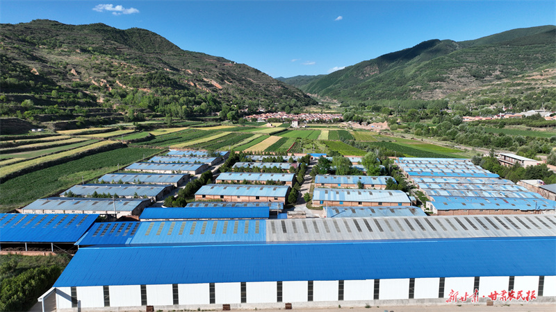 庄浪：生态循环养牛犇振兴