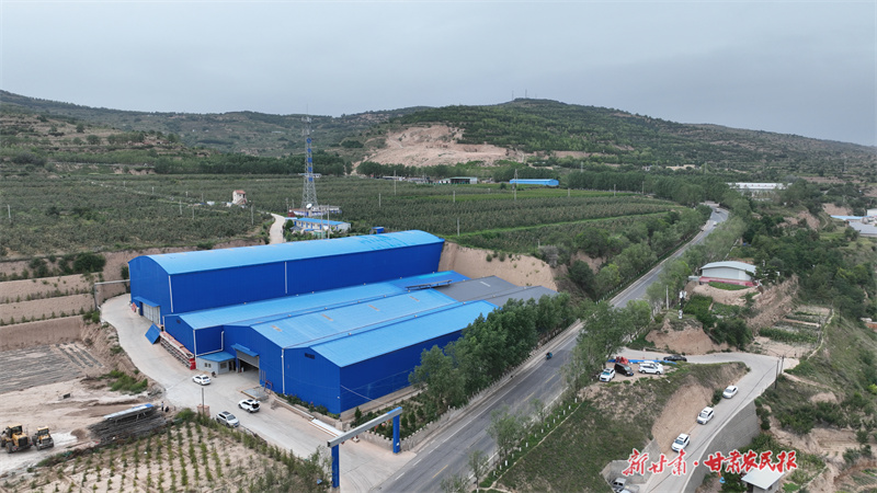 庄浪：“多元产业”拓宽村集体经济增收渠道

