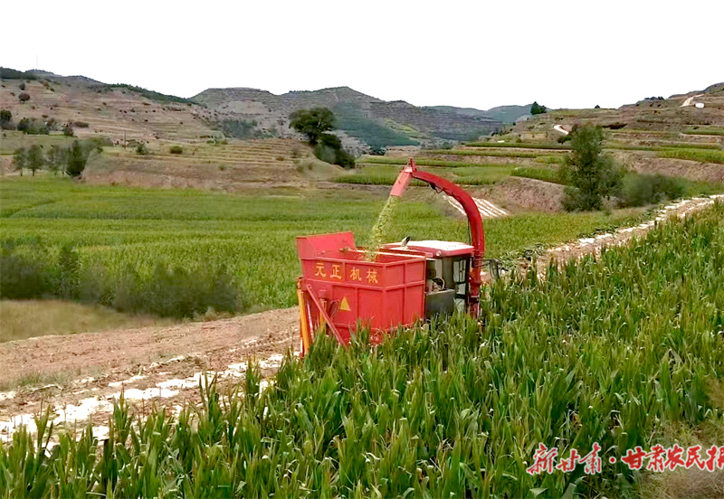 静宁：抢抓“三秋”生产促增收