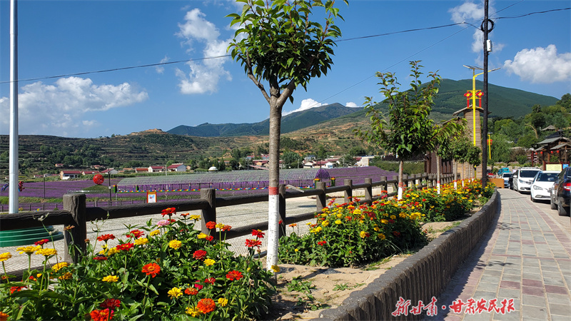 庄浪：“整”出美丽幸福新乡村